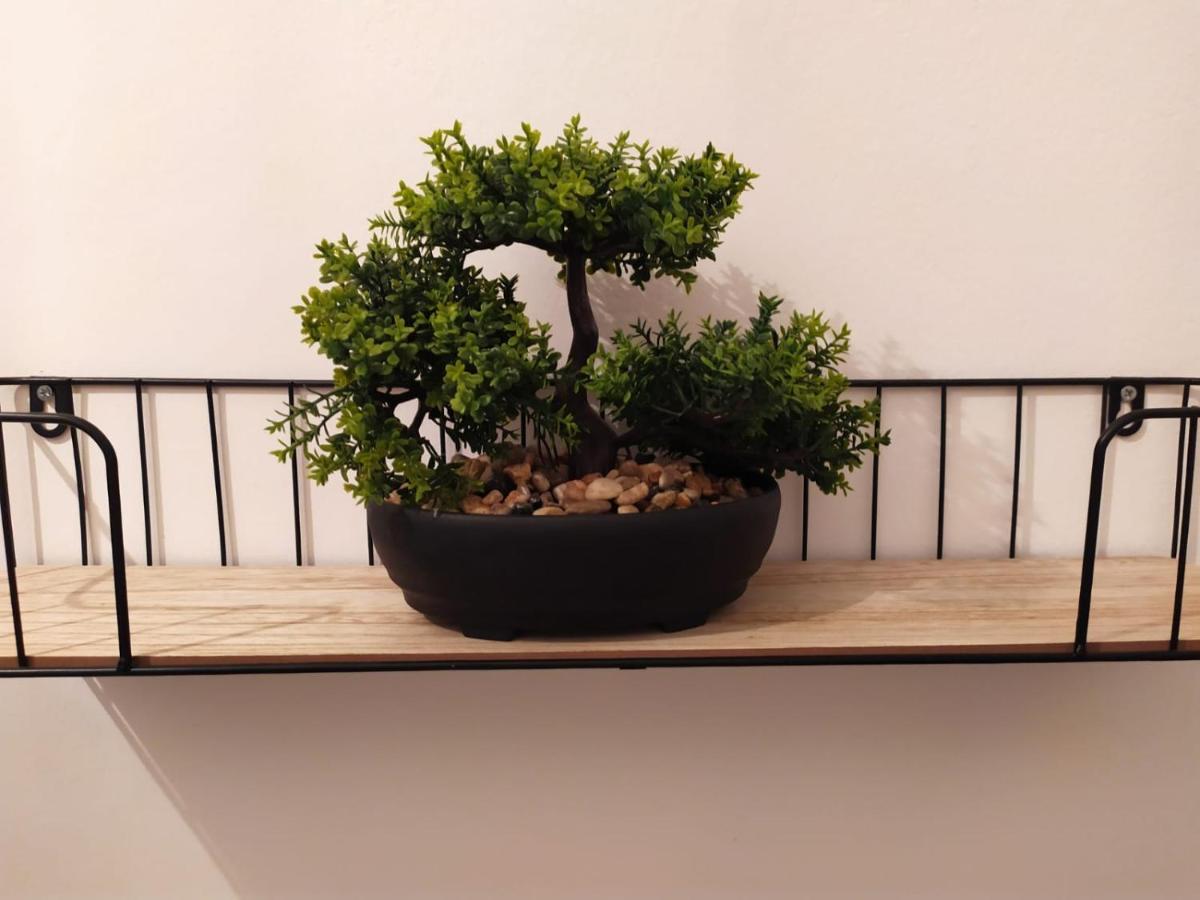 Apartment Cozy Danica - Ground Floor *
