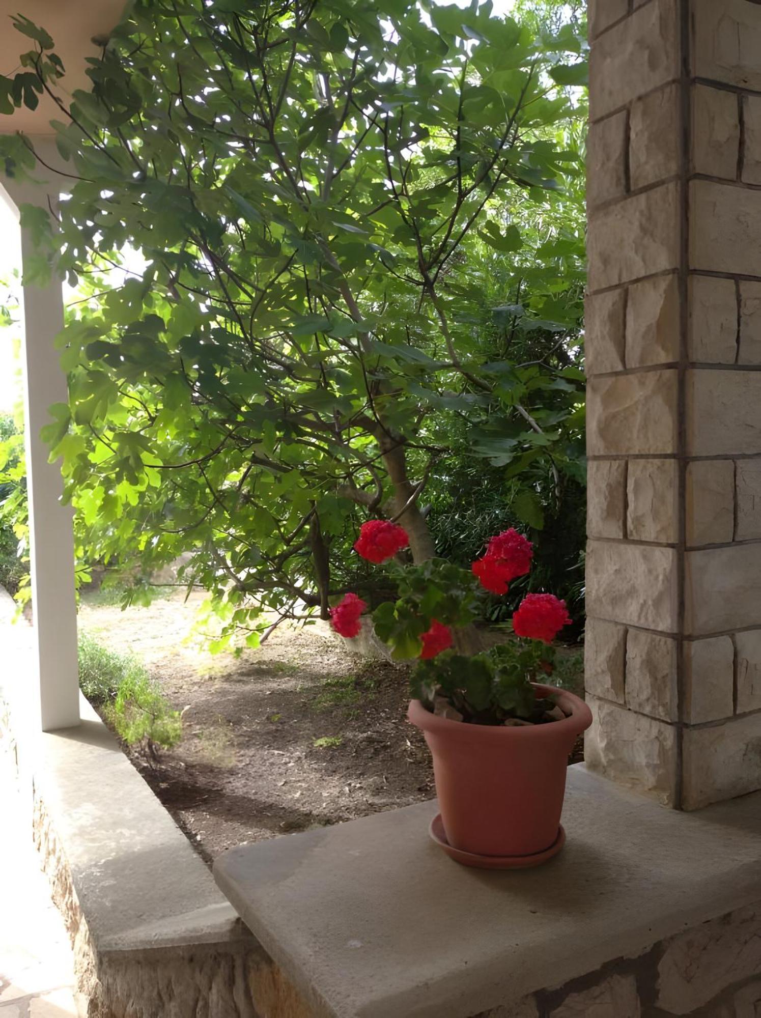 Cozy Danica - Ground Floor Apartment Novalja